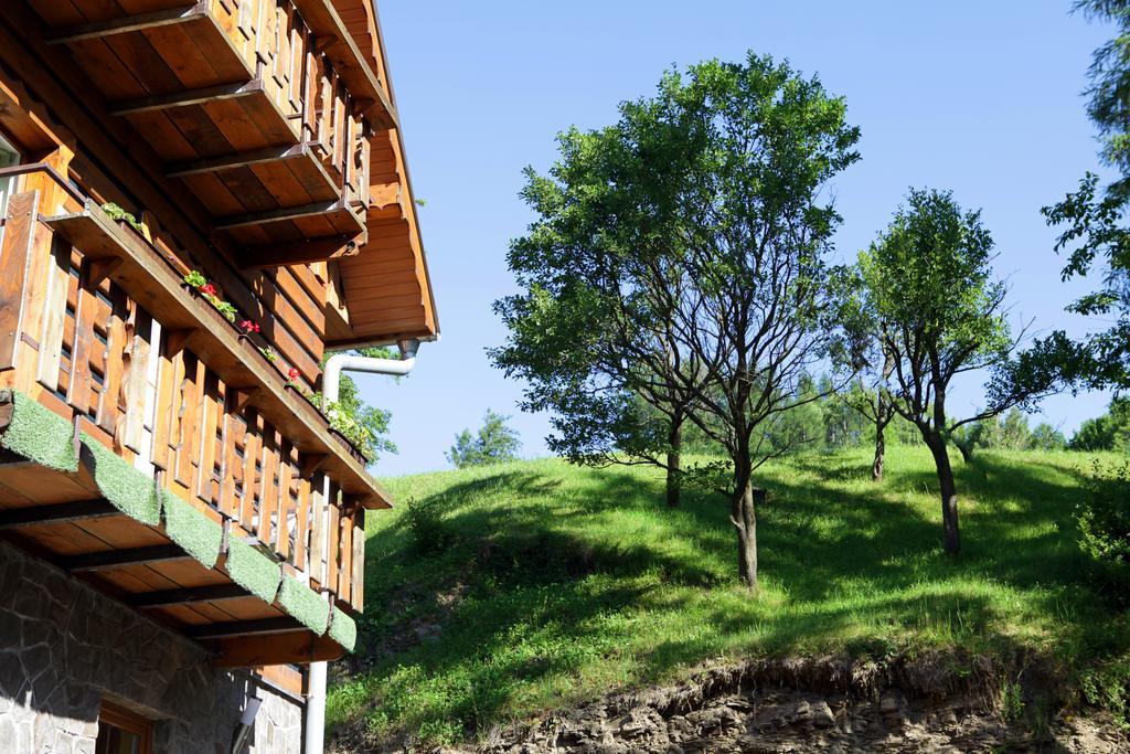 جيزيرسكو Penzion Chata Polana المظهر الخارجي الصورة