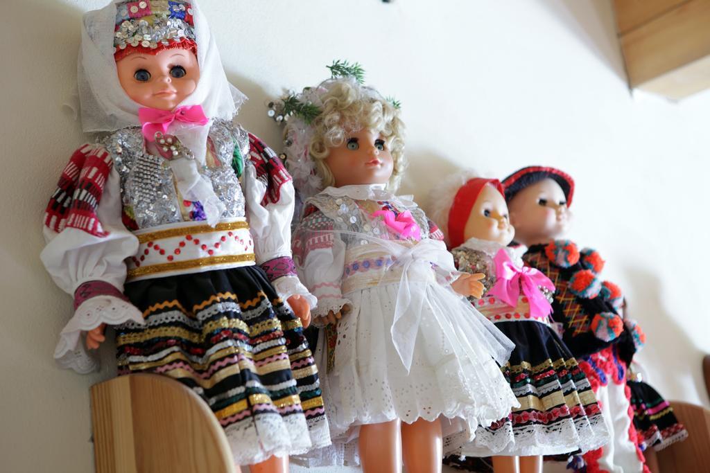 جيزيرسكو Penzion Chata Polana المظهر الخارجي الصورة